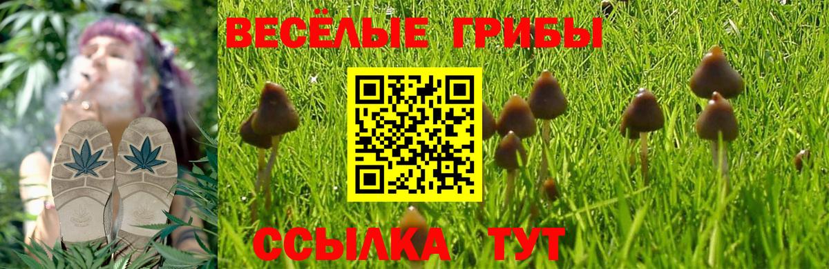 Вейп ТГК Алексин