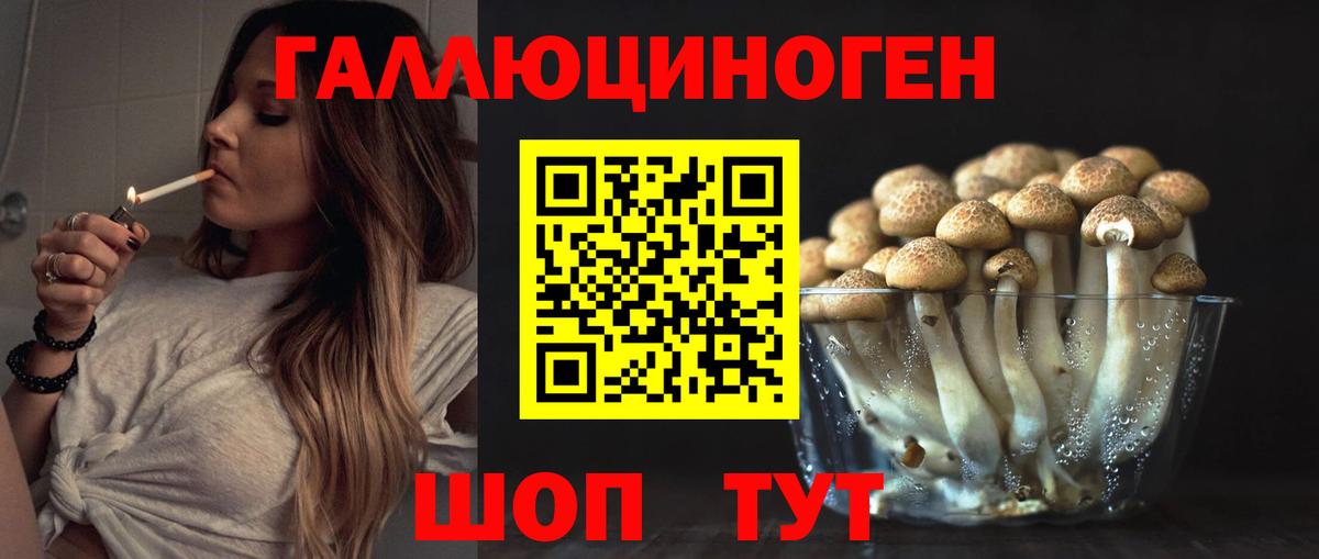 Каннабис  Алексин  Вход с VPN  Мефедрон кристаллы  ГАШ  COCAIN  Лсд 25 